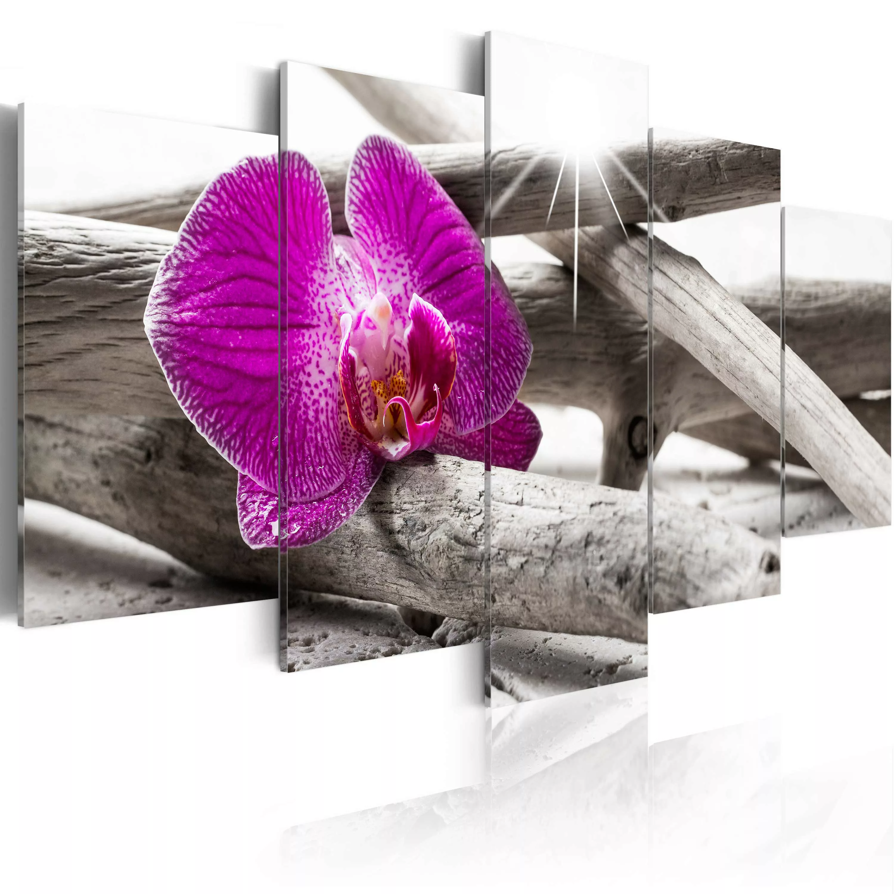 Wandbild - Orchid on beach günstig online kaufen