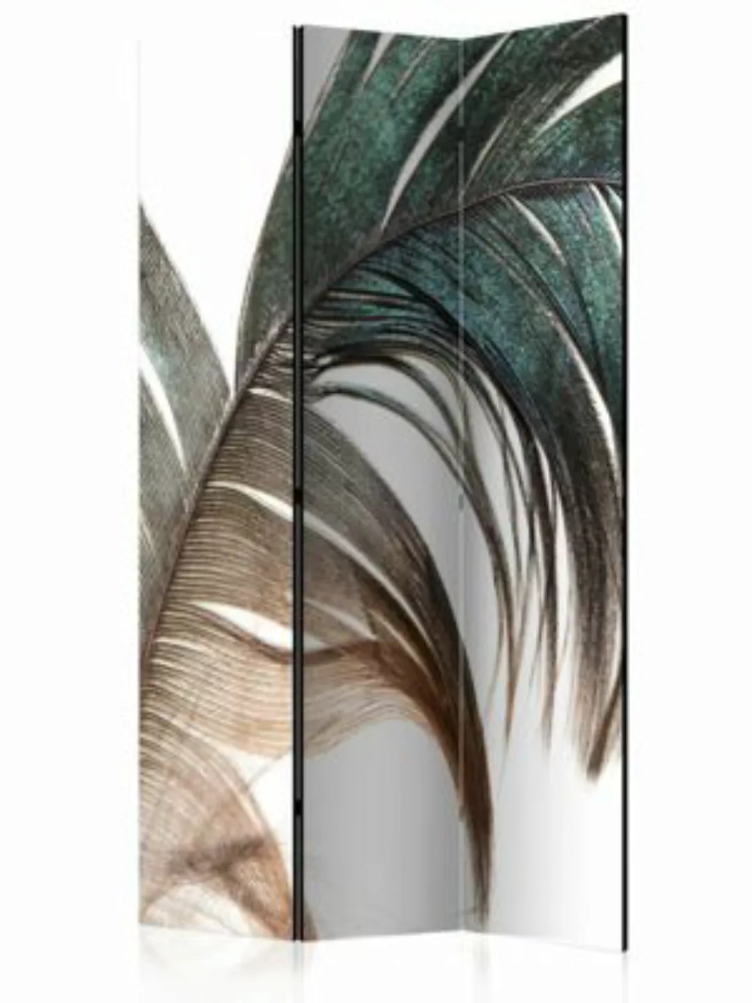 artgeist Paravent Beautiful Feather [Room Dividers] braun-kombi Gr. 135 x 1 günstig online kaufen