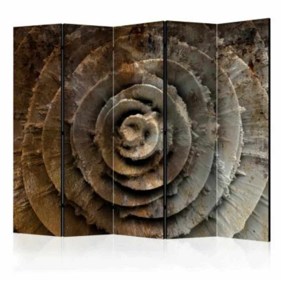 artgeist Paravent Desert rose II [Room Dividers] grau/braun Gr. 225 x 172 günstig online kaufen